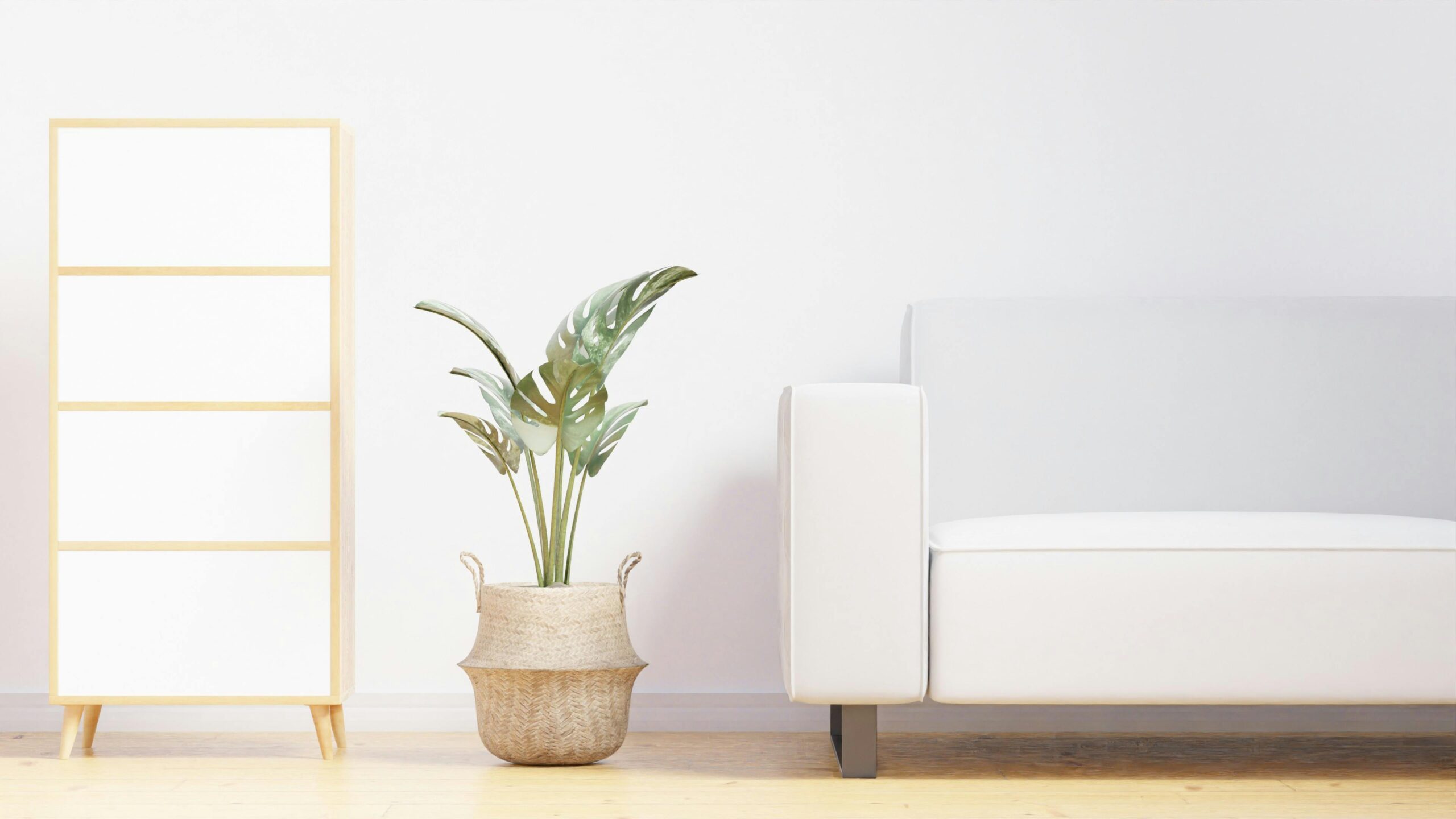 Professional house cleaning services in Nollamara Perth
